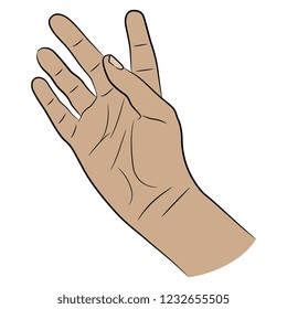 Isolated vector illustration. Open human Caucasian hand in greeting or pointing gesture. Hand drawn linear sketch. Cartoon style.