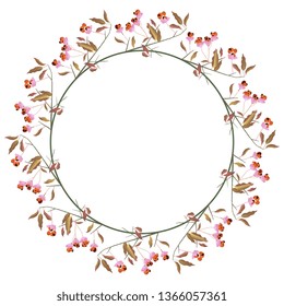 
Isolated vector illustration. Ornae round floral decor or frame. Wreath of autumn spindle tree branches with berries.
 svg