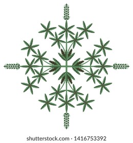 Isolated vector illustration. Ornate square floral decor with hemp or cannabis plants.