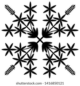 Isolated vector illustration. Ornate square floral decor with branches of hemp or cannabis plant. Black silhouette on white background.