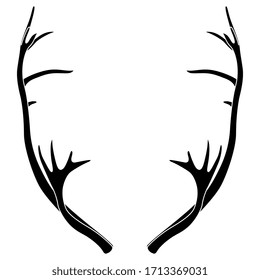 Isolated vector illustration. Pair of elk horns. Deer antlers. Symmetrical animal frame. Black and white linear silhouette.