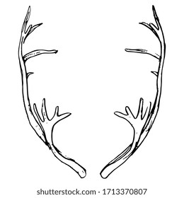 Isolated vector illustration. Pair of elk horns. Deer antlers. Symmetrical animal frame. Hand drawn linear doodle sketch. Black silhouette on white background.