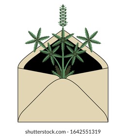 Isolated vector illustration. Paper envelope with branch of cannabis or hemp plant inside. Marijuana delivery.