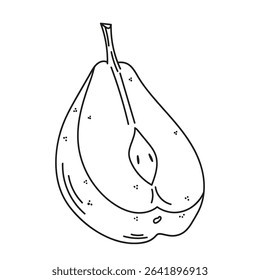 Isolated vector illustration of a pear on a white background. Organic healthy food. Hand drawn illustration in doodle style. Ideal for recipes, various designs. Vector art. Stroke art. fruits