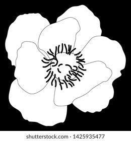 Isolated vector illustration. Peony or Poppy flower. Black and white linear silhouette.