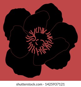 Isolated vector illustration. Peony or Poppy flower. Black and red linear silhouette.