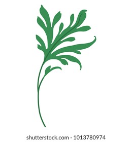 Isolated vector illustration of a plant leaf.