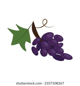 Ilustración vectorial aislada de uvas moradas sobre fondo blanco