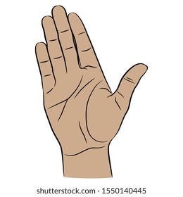 Isolated Vector Illustration. Raised Up Human Male Hand With Open Palm. Vote Or Stop Gesture. Cartoon Style.