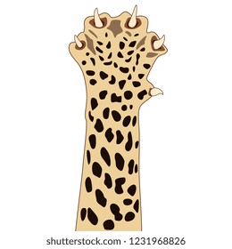 Isolated vector illustration. Raised up paw of a cheetah. Flat cartoon style.