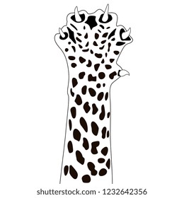 Isolated vector illustration. Raised up paw of a cheetah. Hand drawn linear ink sketch. Black silhouette on white background.