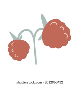 Isolated vector illustration of a raspberry for decoration