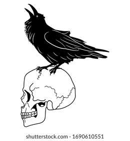 Isolated vector illustration. Raven cawing on human skull. Black and white silhouette.