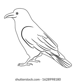 Isolated vector illustration. Raven or crow bird in profile. Black and white linear silhouette. 