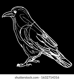 Isolated vector illustration. Raven or crow bird in profile. Hand drawn linear doodle sketch. White silhouette on black background.