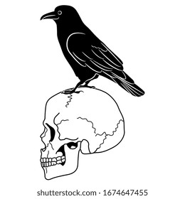 Isolated vector illustration. Raven or crow standing on human skull. Concept of death. Black and white silhouette.
