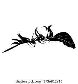Isolated vector illustration. Raven's feather. Birds's quill. Black and white silhouette.