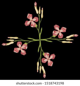 Isolated vector illustration. Rectangular floral decor. Cross made of wild flower branches. Gillyflower or carnation. Matthiola bicornis. Clove blossom. On black background.