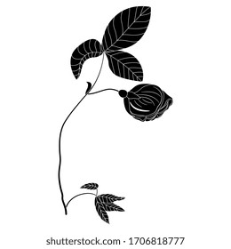 Isolated vector illustration. Rose branch with bud flower. Black and white silhouette.