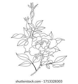 Isolated vector illustration. Rose branch in Oriental style. Black and white linear silhouette.