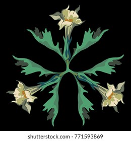 Isolated vector illustration. Round decor made of three Datura flowers. Datura Stramonium. Thorn apple. Symmetrical symbol, emblem, decorative element.