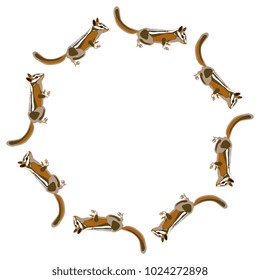 Isolated vector illustration. Round decorative frame or border made of silhouettes of chipmunk. Flat cartoon style.