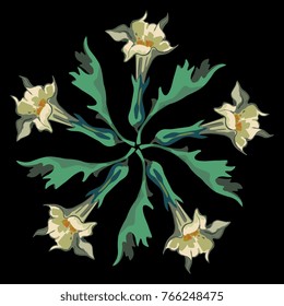 Isolated vector illustration. Round decorative floral element made of five boughs of datura flowers.
