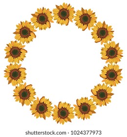 Isolated vector illustration. Round floral frame made of sunflowers.