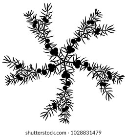 Isolated vector illustration. Round floral decor made of five juniper brunches. Black silhouette on white background.