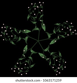 Isolated vector illustration. Round floral star made of five branches of Tearthumb or Knotweed plant (Polygonum). North American wild flower. On black background.