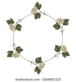 Isolated vector illustration. Round floral frame made of six branches of viburnum blossom. Flat cartoon style.