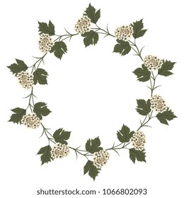 Isolated vector illustration. Round floral frame made of ten branches of viburnum blossom. Flat cartoon style.