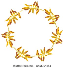Isolated vector illustration. Round floral frame, decor, border with autumn leaves of rowan or ash tree. Flat cartoon style. 