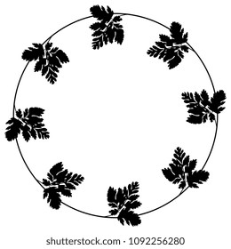 Isolated vector illustration. Round floral frame, border, decor, background or texture with parsley leaves. Black silhouette on white background.