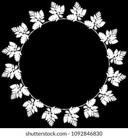Isolated vector illustration. Round floral frame, border, decor, background or texture with parsley leaves. White silhouette on black background.