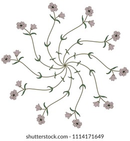 Isolated vector illustration. Round floral star with meadow flowers.