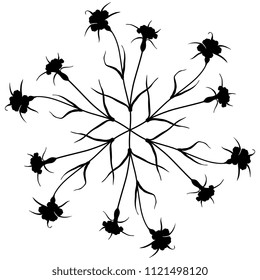 Isolated vector illustration. Round floral star or mandala made of Corn Cockle plants. Agrostemma Githago. Black silhouette on white background.