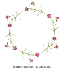 Isolated vector illustration. Round floral frame or border with corn cockle flowers. (Agrostemma Githago.)