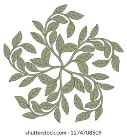Isolated vector illustration. Round floral decor or mandala made of branches with leaves.