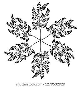 Isolated vector illustration. Round floral decor or mandala. Ornate star made of tree branches with leaves. Black silhouette on white background.