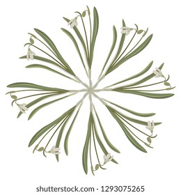 Isolated vector illustration. Round floral decor or mandala with Snowdrop flowers. (Galanthus nivalis). Hand drawn art. Vintage style. 