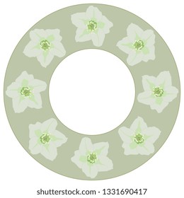 Isolated vector illustration. Round floral decor, frame or texture with heads of hellebore flowers.