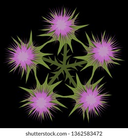 Isolated vector illustration. Round floral decor. Star made of stylized thistle flower branches. On black background.