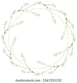 Isolated vector illustration. Round floral decor or frame. Wreath of wild shepherd purse flowers.