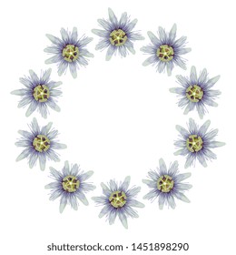 Isolated vector illustration. Round floral decor, frame or texture with heads of Blue Passion Flower or Passiflora. 