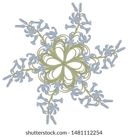 Isolated vector illustration. Round floral decor. Star made of blue hyacinth flower branches.