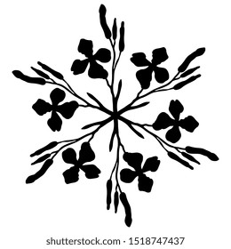 Isolated vector illustration. Round floral decor. Star made of wild flower branches. Gillyflower or carnation. Matthiola bicornis. Clove blossom. Black silhouette on white background.