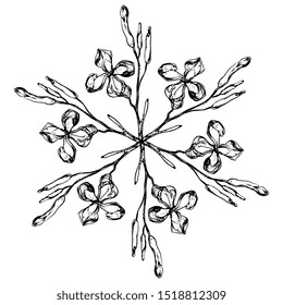 Isolated vector illustration. Round floral decor. Star made of wild flower branches. Gillyflower or carnation. Matthiola or clove. Hand drawn sketch. Black and white silhouette.