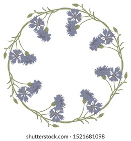 Isolated vector illustration. Round floral decor or frame with branches of cornflower.