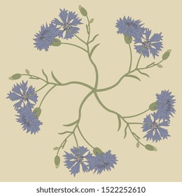 Isolated vector illustration. Round floral decor. Star made of cornflower branches.